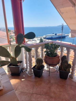 Saguaro’s home Kavala